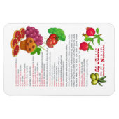 Magnet Flexible Al haMichya Bénédiction hébraïque après la nourrit (Horizontal)