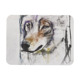 Magnet Flexible Al Lupo de Processo