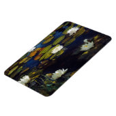 Magnet Flexible Albert Edelfeue - Lys d'eau, étude (Côté Gauche)