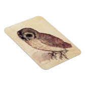 Magnet Flexible Albrecht Durer Le Petit Aimant De Chouette (Côté Droit)