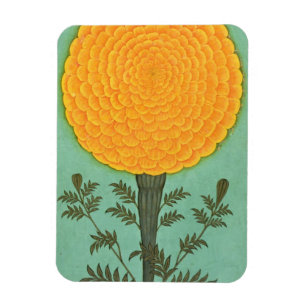 Magnet Flexible Album de petite taille A Marigold