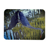 Magnet Flexible Alimentation de héron dans l'étang à RHS Wisley, R (Horizontal)