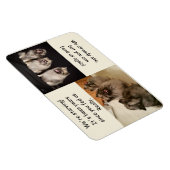 Magnet Flexible Alimenter ou ne pas nourrir est l'aimant de la que (Côté Droit)