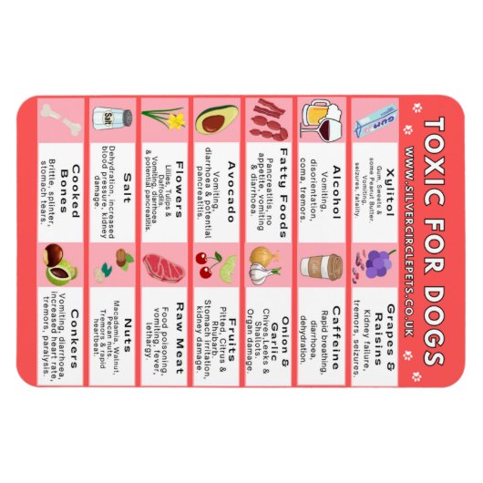 Magnet Flexible Aliments toxiques pour les chiens Aimant frigo (Horizontal)