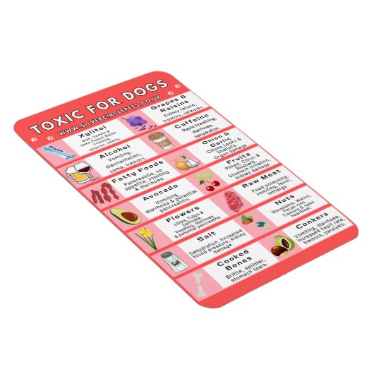 Magnet Flexible Aliments toxiques pour les chiens Aimant frigo (Côté Droit)