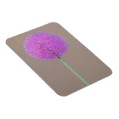 Magnet Flexible Alium (Côté Droit)