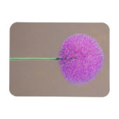 Magnet Flexible Alium (Horizontal)