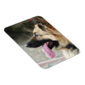 Magnet Flexible Allemagne Shepherd aimant photo flexible (Côté Droit)