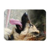 Magnet Flexible Allemagne Shepherd aimant photo flexible (Horizontal)