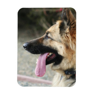 Magnet Flexible Allemagne Shepherd aimant photo flexible