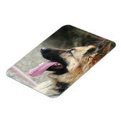 Magnet Flexible Allemagne Shepherd aimant photo flexible (Côté Gauche)