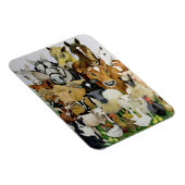 Magnet Flexible Allergies animales (Côté Droit)