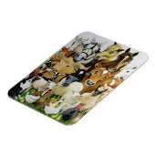 Magnet Flexible Allergies animales (Côté Gauche)