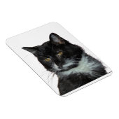 Magnet Flexible Alley Cat Love (Côté Droit)