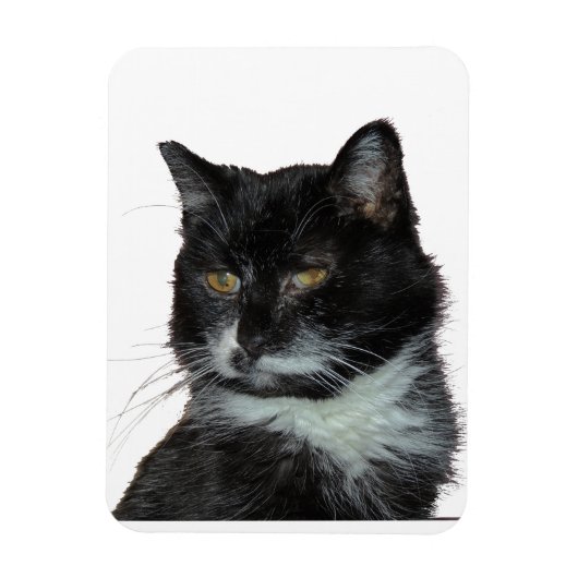 Magnet Flexible Alley Cat Love (Vertical)