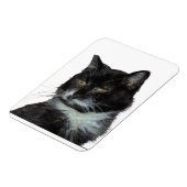 Magnet Flexible Alley Cat Love (Côté Gauche)