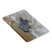 Magnet Flexible Alligator, Fort Lauderdale, Floride (Côté Droit)