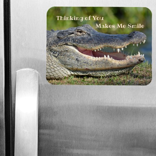 Magnet Flexible Alligator Penser à toi me fait sourire