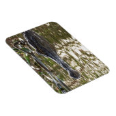 Magnet Flexible Alligator qui se cache dans les eaux des marécages (Côté Droit)