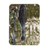 Magnet Flexible Alligator qui se cache dans les eaux des marécages (Vertical)