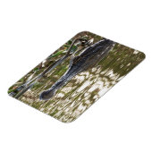 Magnet Flexible Alligator qui se cache dans les eaux des marécages (Côté Gauche)