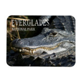 Magnet Flexible Alligator Smile, Parc National des Everglades, Flo (Horizontal)