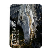 Magnet Flexible Alligator Smile, Parc National des Everglades, Flo (Vertical)