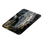 Magnet Flexible Alligator Smile, Parc National des Everglades, Flo (Côté Gauche)