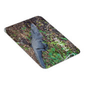 Magnet Flexible alligator terrestre (Côté Droit)