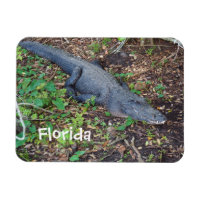 alligator terrestre