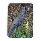 Magnet Flexible alligator terrestre (Vertical)