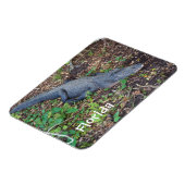 Magnet Flexible alligator terrestre (Côté Gauche)