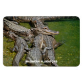 Magnet Flexible Alligators américains (Horizontal)