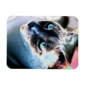 Magnet Flexible Aloof Siamese Chat Alterisé Aimant Flexible (Horizontal)