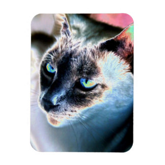 Magnet Flexible Aloof Siamese Chat Alterisé Aimant Flexible