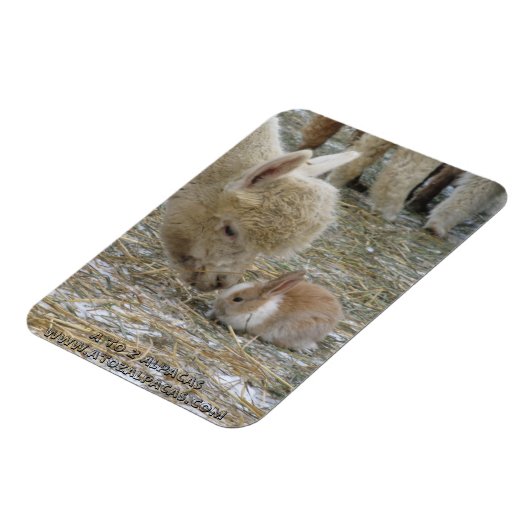 Magnet Flexible Alpaca et Bunny Kisses ! (Côté Gauche)