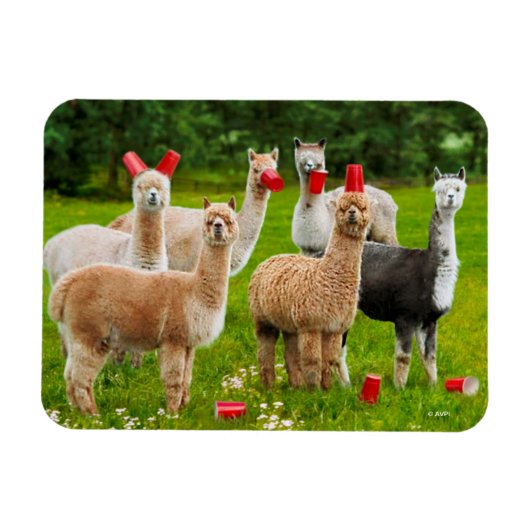 Magnet Flexible Alpacas Avec Coupes Rouges (Horizontal)