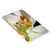 Magnet Flexible Amande Lily blanche (Côté Droit)