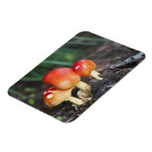 Magnet Flexible Amanita family mushrom (Côté Gauche)