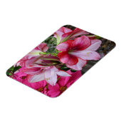 Magnet Flexible Amaryllis et Poinsettia Fleurs de Fêtes Rouges (Côté Gauche)