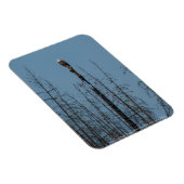Magnet Flexible American Bald Eagle 8974 (Côté Droit)