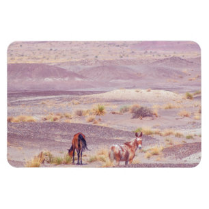 Magnet Flexible American Desert Horses P8670