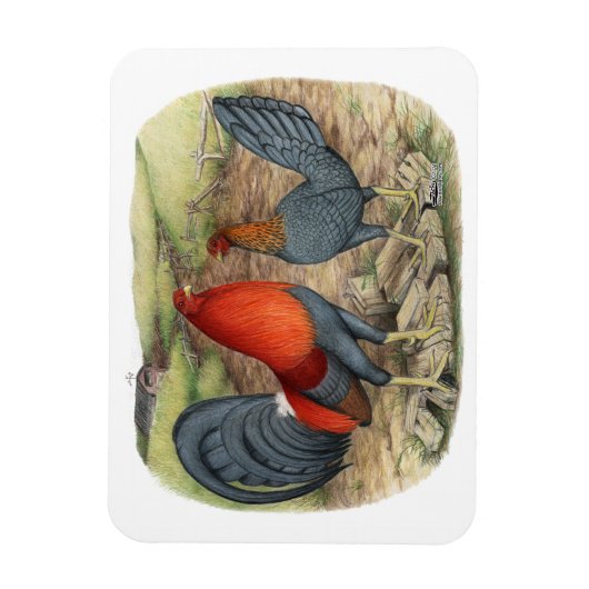 Magnet Flexible American Game Blue Reds (Vertical)