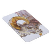 Magnet Flexible American Long Horn 2004 (Côté Droit)