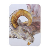 Magnet Flexible American Long Horn 2004 (Vertical)