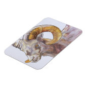 Magnet Flexible American Long Horn 2004 (Côté Gauche)