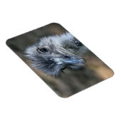 Magnet Flexible American Rhea Portrait (Côté Droit)