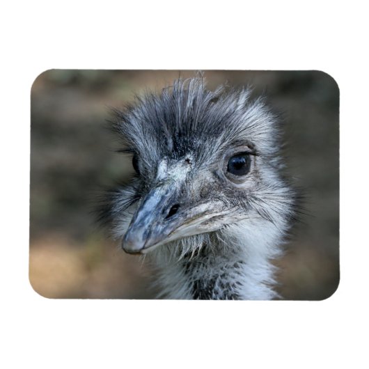 Magnet Flexible American Rhea Portrait (Horizontal)