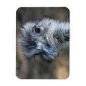 Magnet Flexible American Rhea Portrait (Vertical)