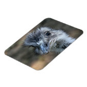 Magnet Flexible American Rhea Portrait (Côté Gauche)